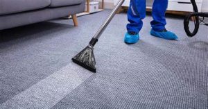 How to Keep Your Carpets Clean Between Professional Cleanings