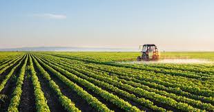 agriculture