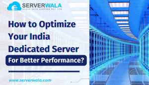 How to Optimize Your India Dedicated Server for Better Performance?