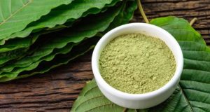 5 Key Points for Buying Pure Kratom