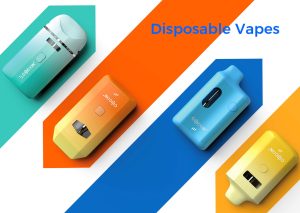 Disposable Vape: Merging Technology and Wellness in Modern Vaping