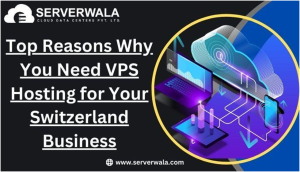 Top Reasons Why You Need VPS Hosting for Your Switzerland Business
