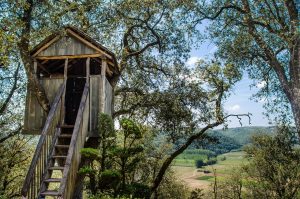 Bliss in Treehouse Retreats