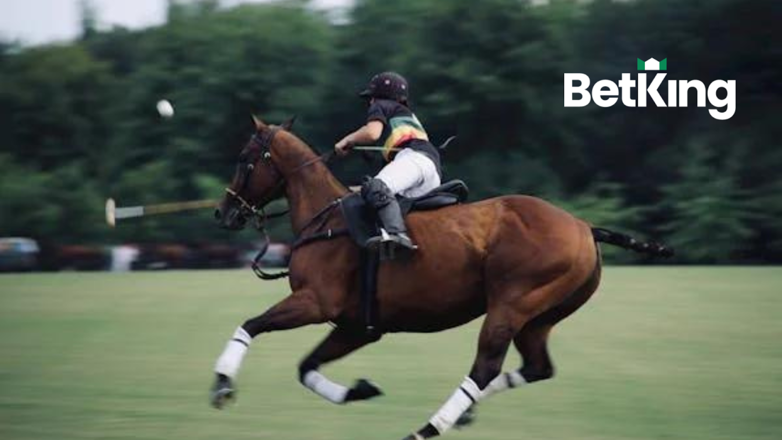 Unveiling Online Gambling with BetKing