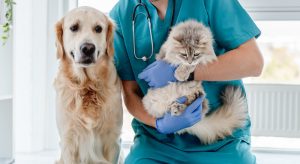 Animal Urgent Care Visit