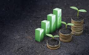 The Growing Role Of CPAs