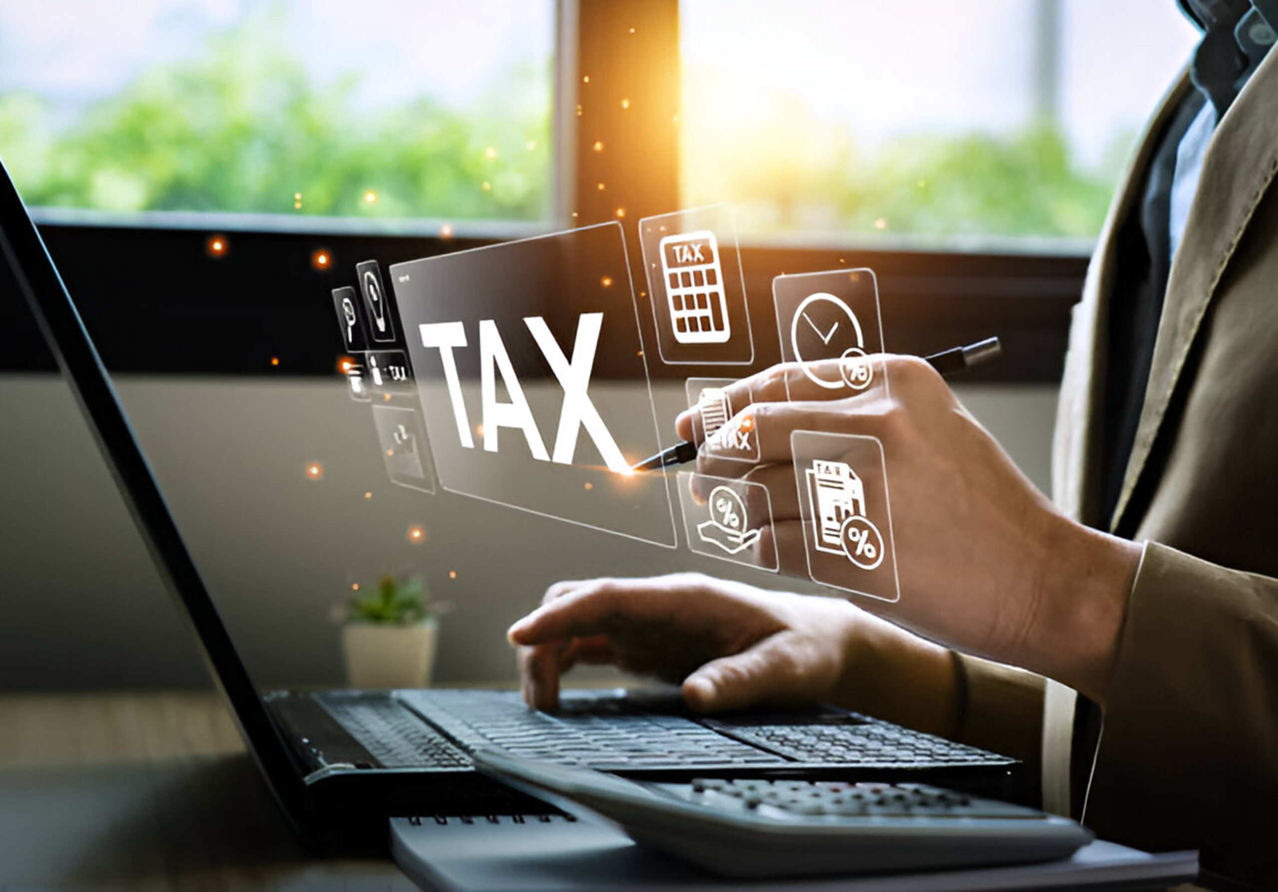 Tax Firms